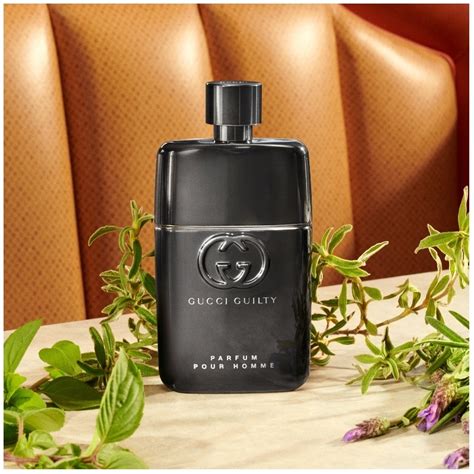 eau de parfum gucci guilty homme|gucci guilty pour homme fragrantica.